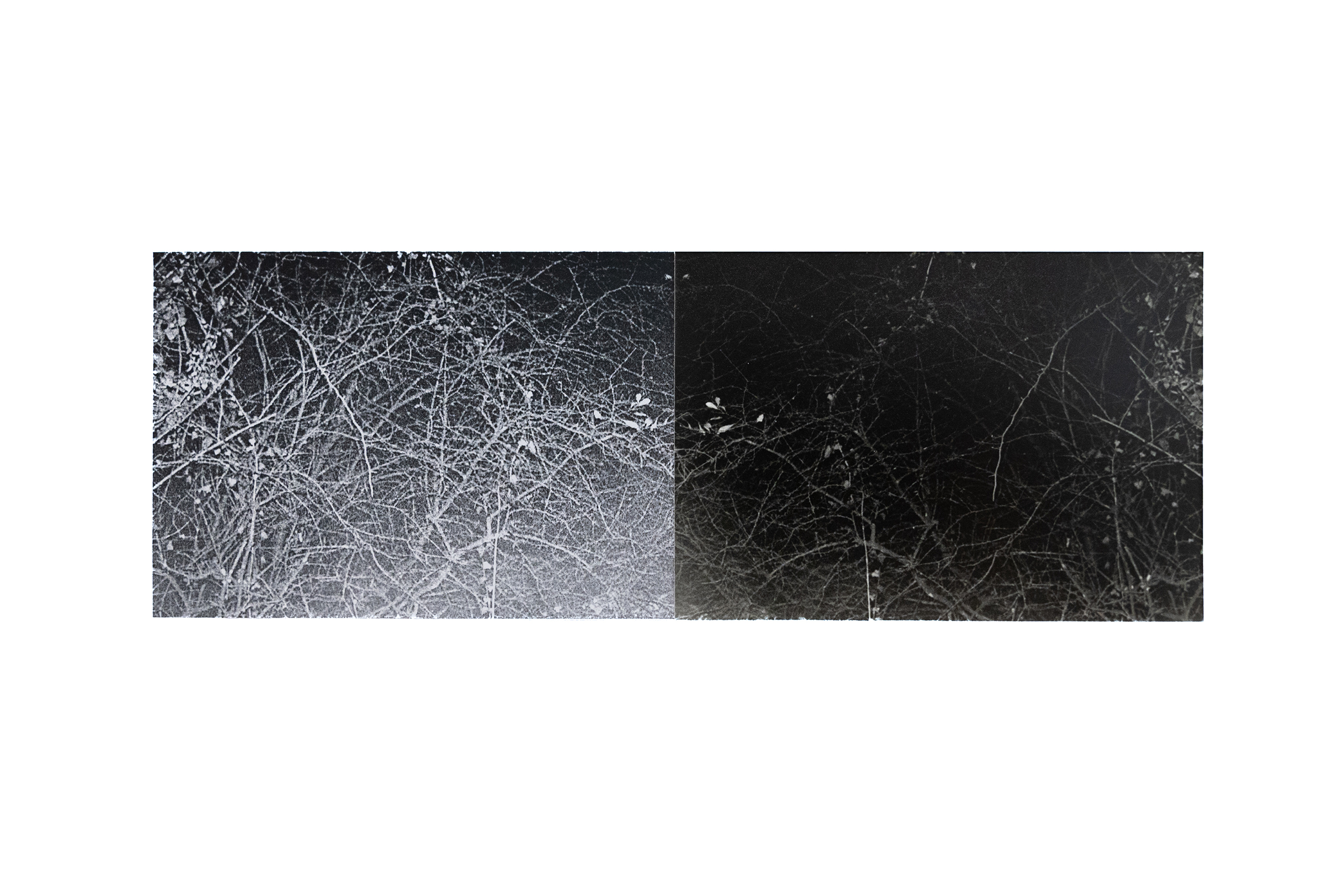 II ; laserjet print, gelatin silver print, 8.9 x 25.4 cm